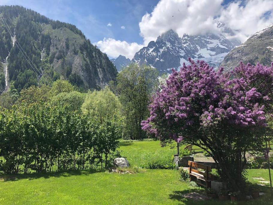 Appartamenti Vista Monte Bianco Courmayeur-Entreves Dış mekan fotoğraf